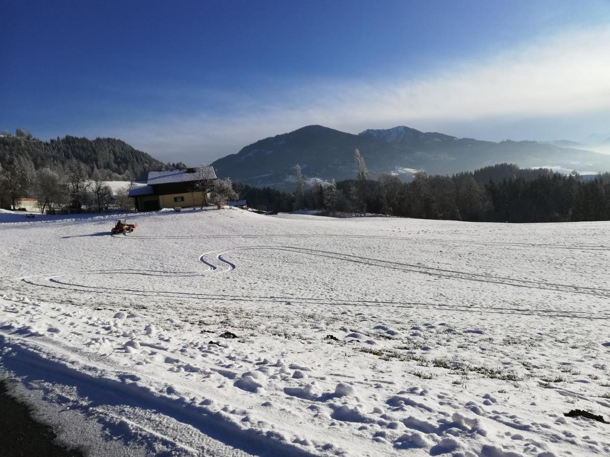Appartement Steinerhof Верфенвенг Екстер'єр фото